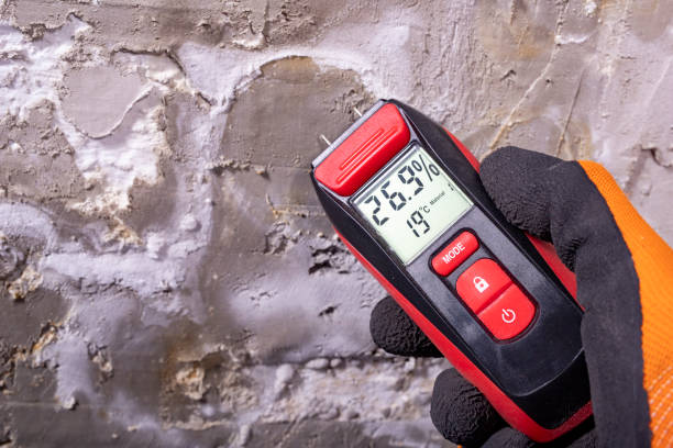 Best Mold Testing  in Gering, NE