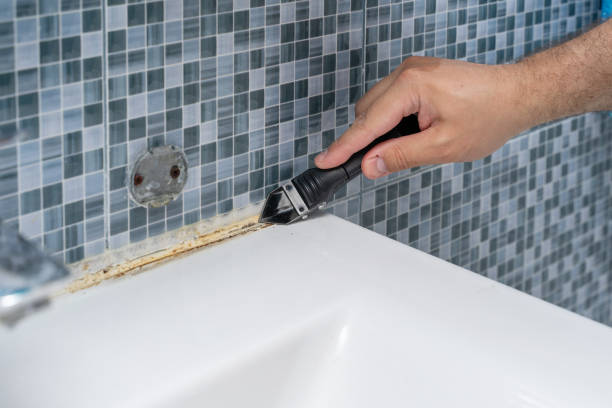 Best Mold Damage Repair  in Gering, NE