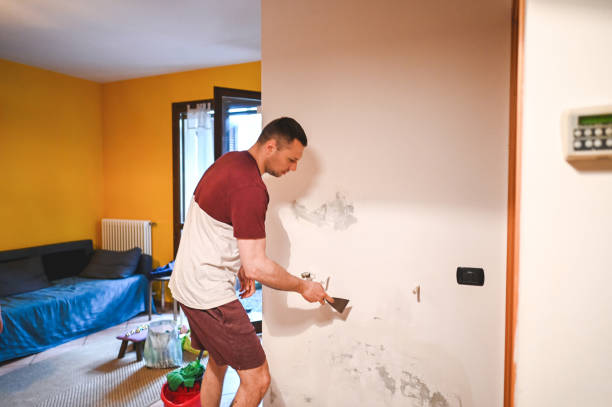 Best Professional Mold Removal  in Gering, NE